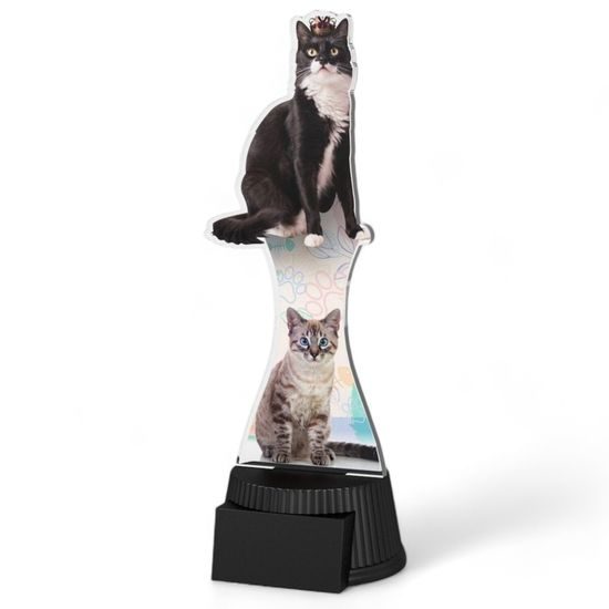 Toronto Cat Show Trophy