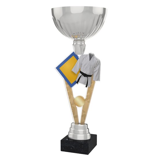 Napoli Martial Arts Silver Cup Trophy