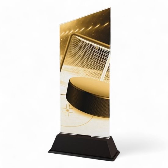 Peak Ice Hockey Trophy