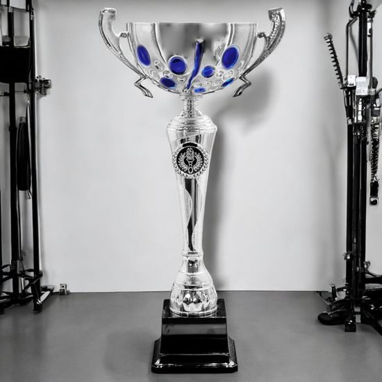 Trafalgar Silver and Blue Cup