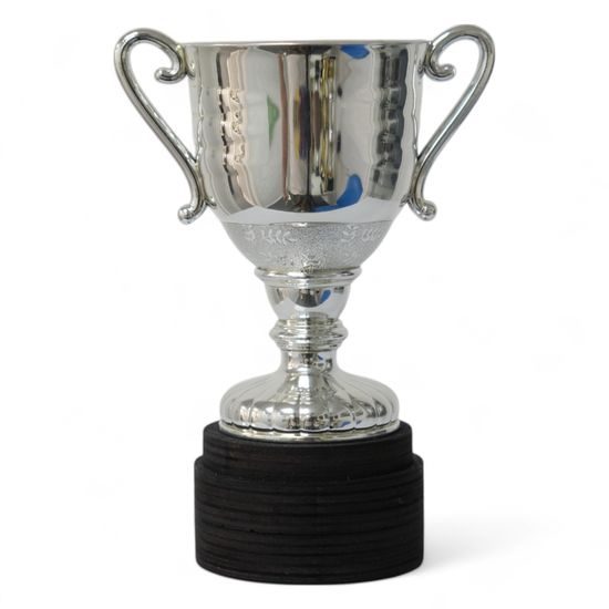 Beacon Silver Logo Cup