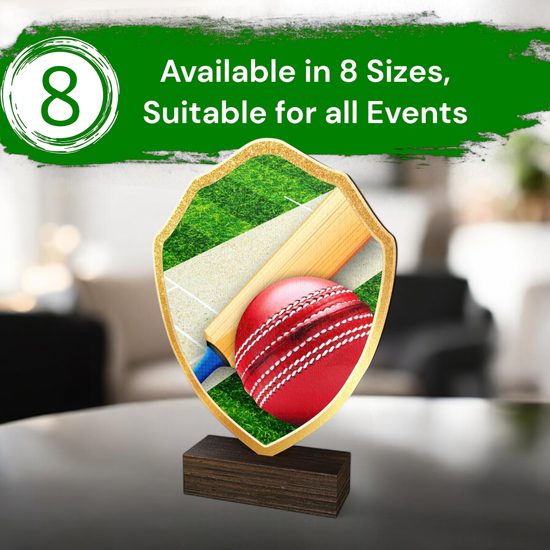 Arden Cricket Real Wood Shield Trophy