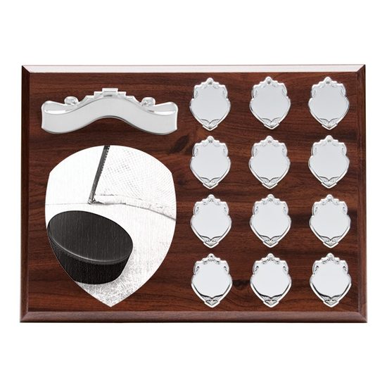 Wessex Ice Hockey Wooden 12 Year Annual Shield