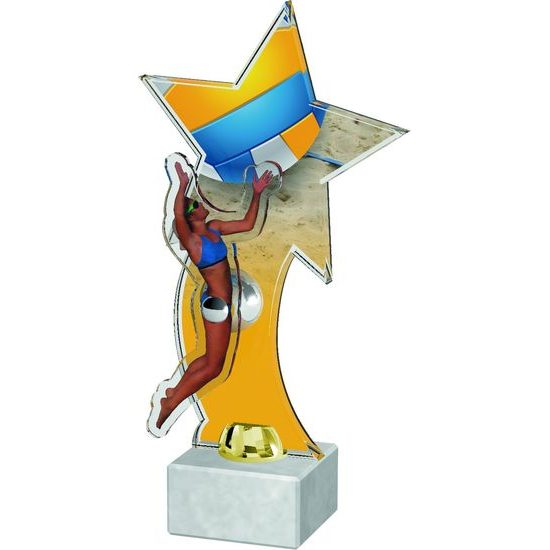 Vienna Beach Volleyball Star Player Trophy