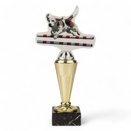 Capri Dog Agility Trophy