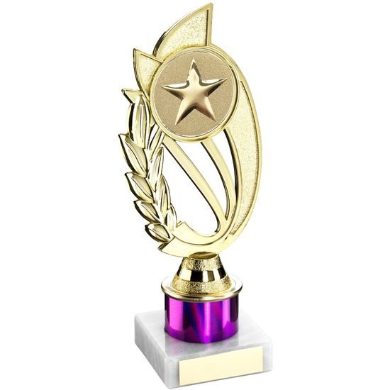 Purple Star Logo Insert Trophy