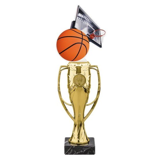 Verona Basketball and Hoop Trophy