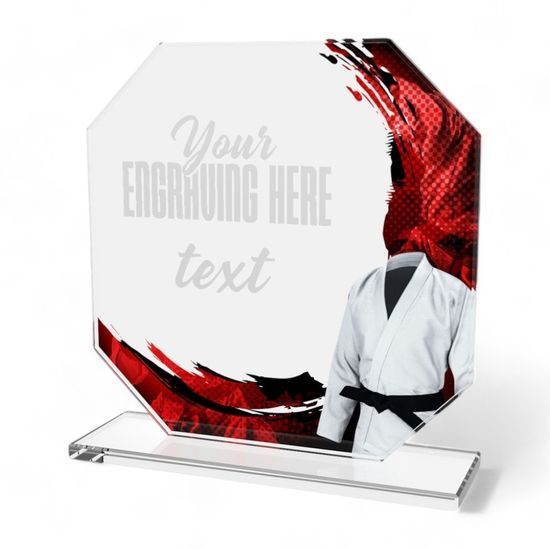 Hopper Martial Art Glass Award