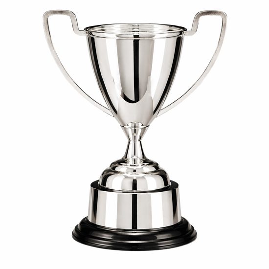 Warwick Silver Nickel Plated Cup