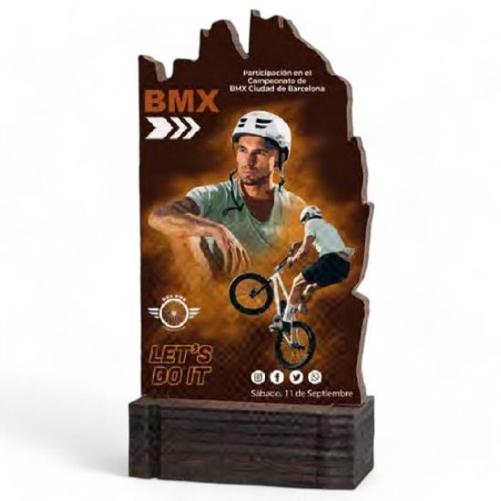 Shard Custom Made Real Wood Award