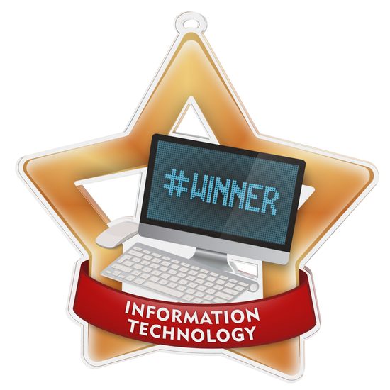 Information Technology Mini Star Bronze Medal