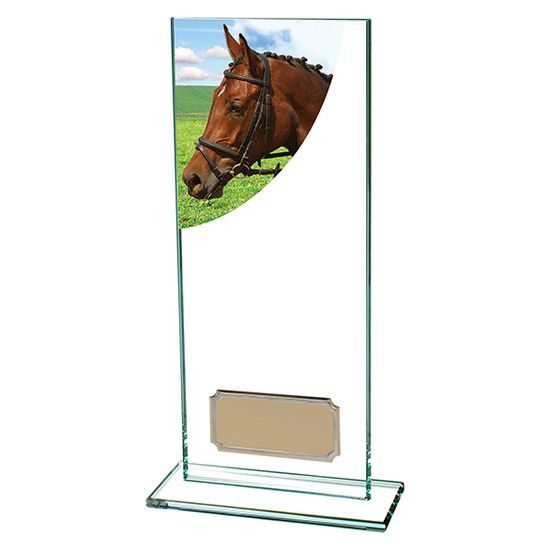 Colour Curve Jade Glass Equestrian Trophy
