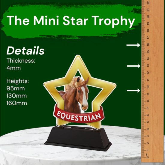Mini Star Equestrian Trophy
