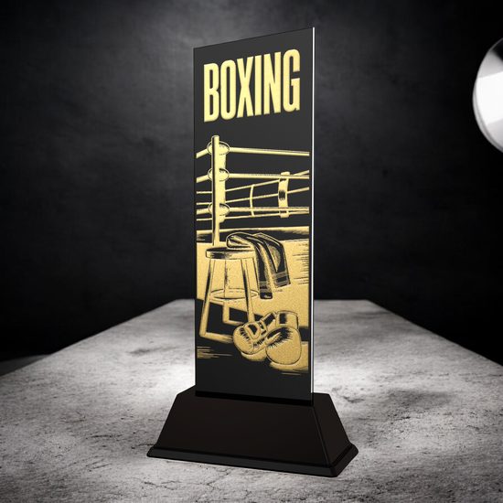 Shadowline Boxing Trophy – Stainless Steel Award