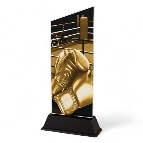 Peak Boxing Trophy