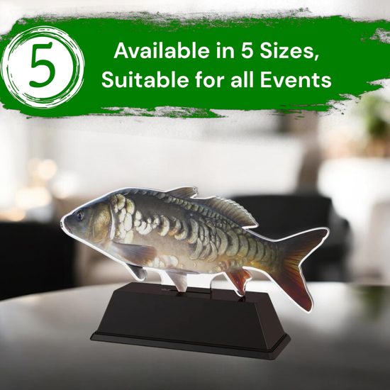 Ostrava Bream Fish Trophy