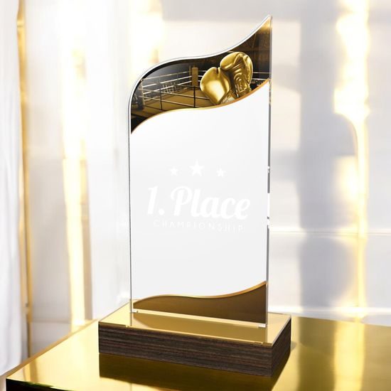 United Boxing Acrylic Wood Fusion Trophy