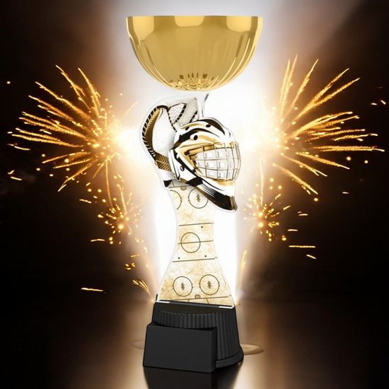 Vancouver Classic Ice Hockey Goalkeeper Gold Cup Trophy