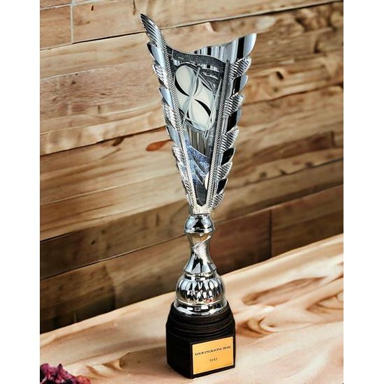 Chester Rugby Silver Trophy