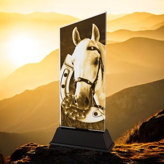Peak Horse Riding Trophy