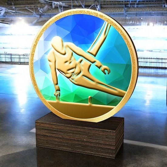 Holt Colour Male Gymnastics Arts Real Wood Trophy