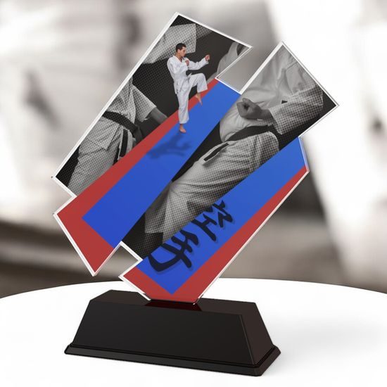 Paris Martial Arts Blue and Red Trophy