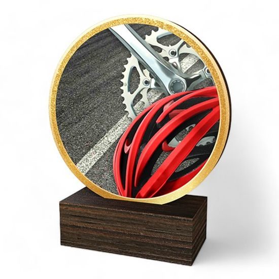 Holt Colour Cycling Real Wood Trophy