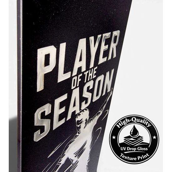 Shadowline Football Male Goalkeeper of the Season Trophy – Stainless Steel Award