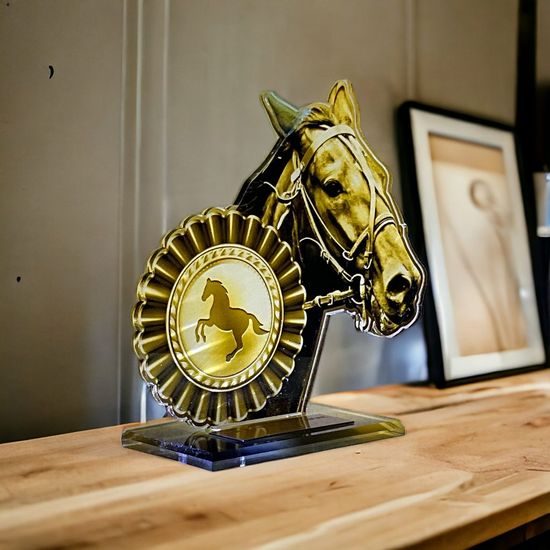 Cannes Classic Horse Riding Trophy