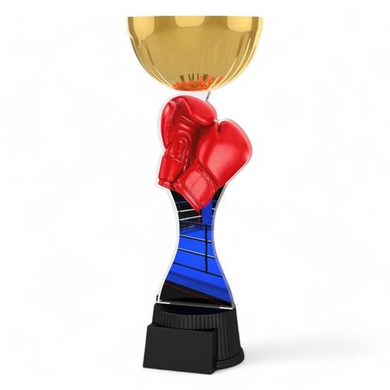 Vancouver Boxing Gloves Gold Cup Trophy