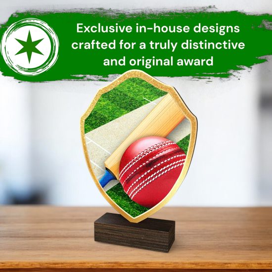 Arden Cricket Real Wood Shield Trophy