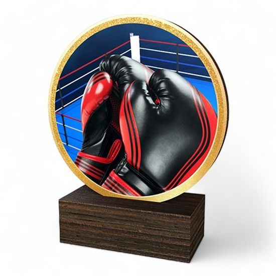 Holt Colour Boxing Real Wood Trophy