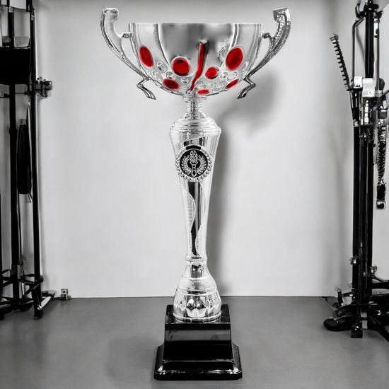 Trafalgar Silver and Red Cup