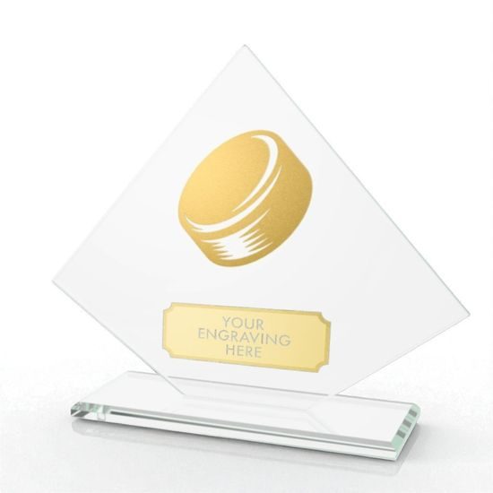 Vanguard Glass and Metal Fusion Ice Hockey Trophy