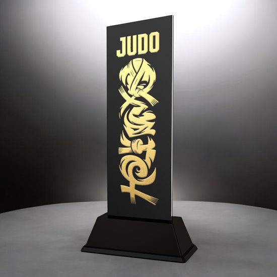 Shadowline Judo Trophy – Stainless Steel Award