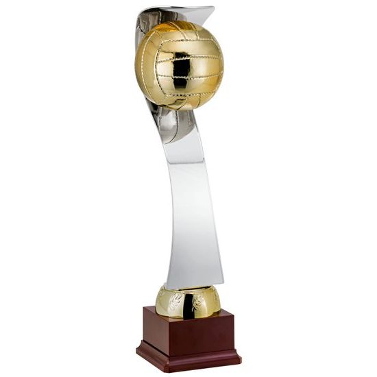 Langman Metal Volleyball Award