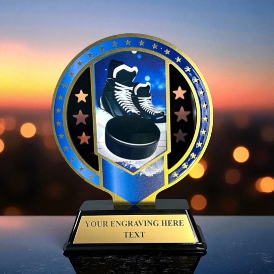 Sentinel Stainless Steel Ice Hockey Trophy