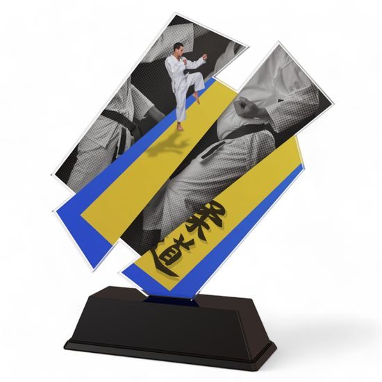 Paris Martial Arts Yellow and Blue Trophy