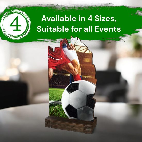 Shard Football Eco Friendly Wooden Trophy