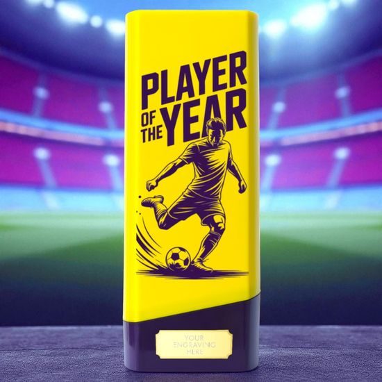 Tower Elite Heavyweight Player of the Year Football Trophy