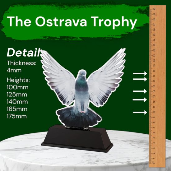 Ostrava Pigeon Racing Trophy