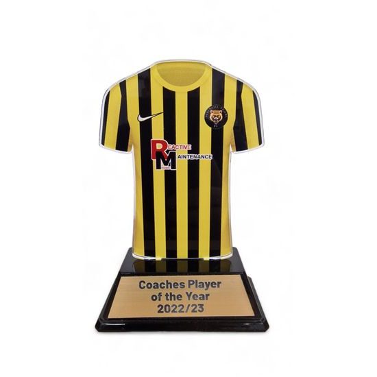 Football Shirt Custom Made Acrylic Award