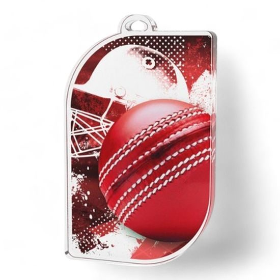 Apollo Cricket Medal