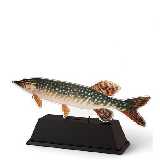 Ostrava Trout Fish Trophy