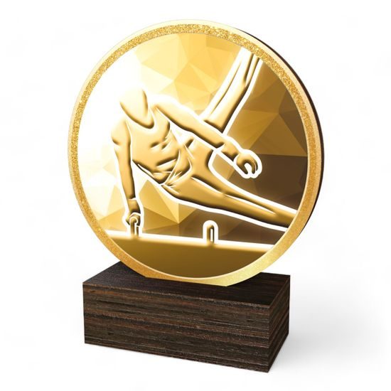 Holt Classic Male Gymnastics Arts Wood Trophy