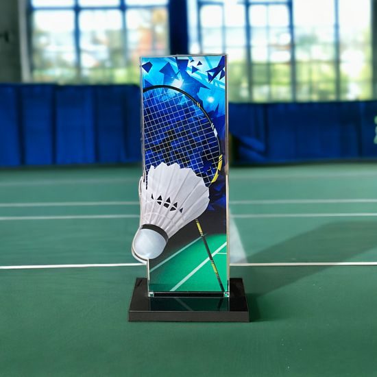 Apla Badminton Racket and Shuttlecock Trophy