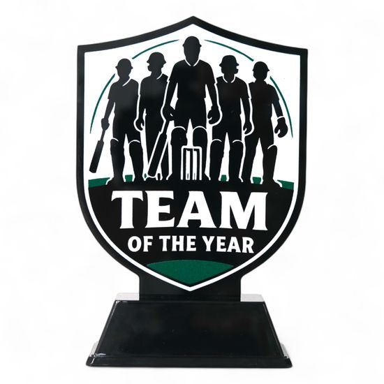 Pavilion Team of the Year Cricket Trophy