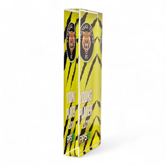 Custom Printed Block Acrylic Award