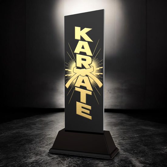 Shadowline Karate Trophy – Stainless Steel Award