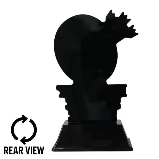 Roswell Archery Highest Single Score Trophy